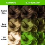 Electric Lizard Amplified